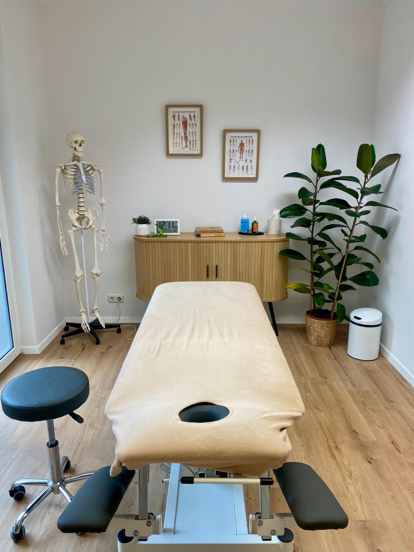 Heller Therapieraum der Physiotherapie kinetMed München mit Massageliege, Pflanzen und anatomischen Postern.