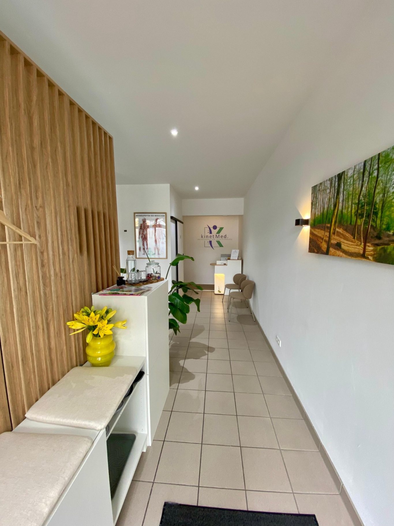 Einladender Eingangsbereich der Physiopraxis in München-Sendling mit Blick in den langen Gang zur Rezeption.
